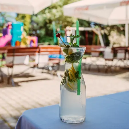 Mini-hôtel Srebrna Gora