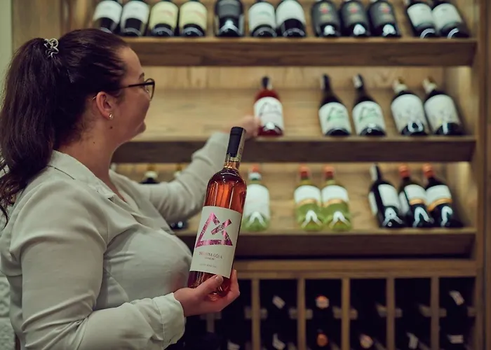 Srebrna Gora クラクフ